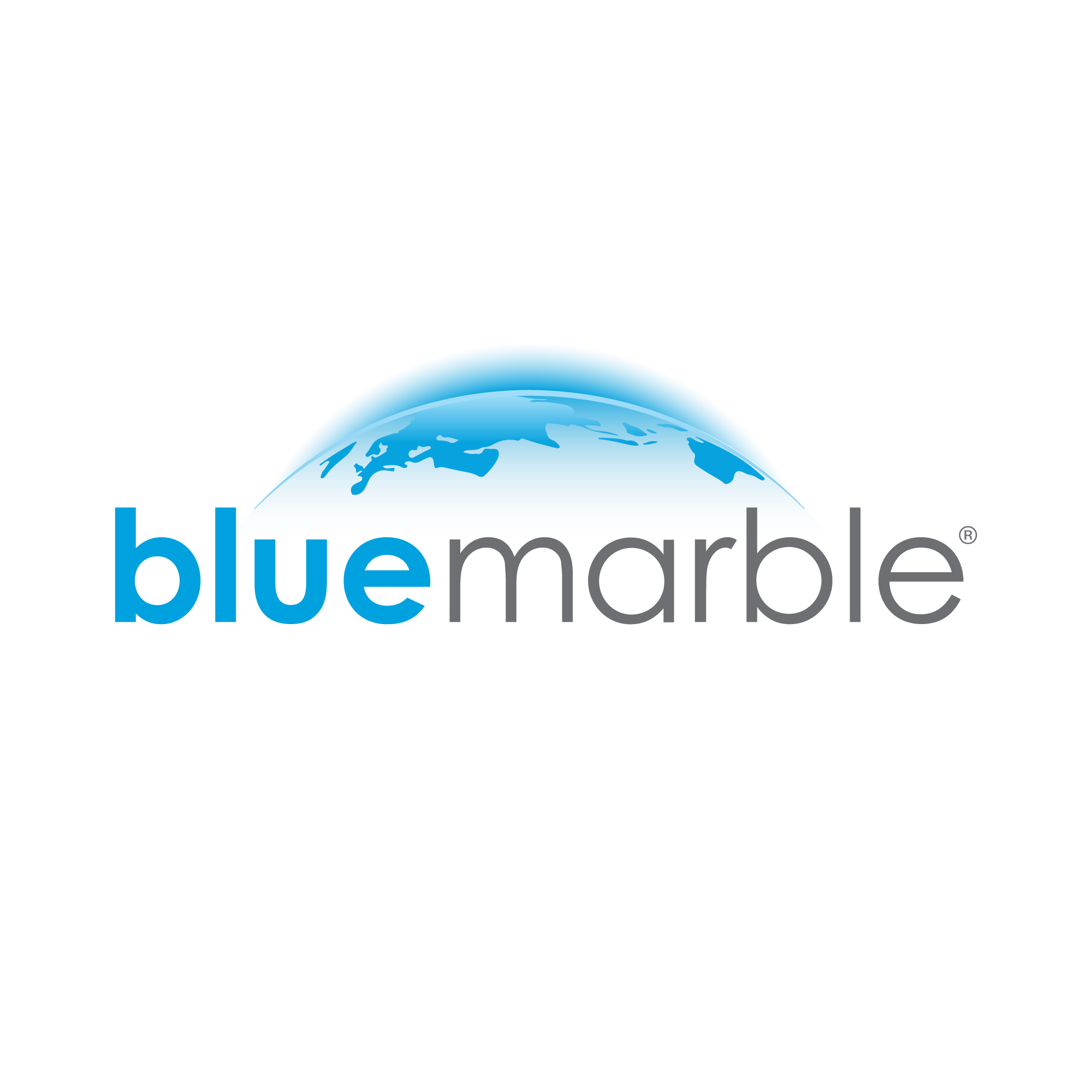 Blue Marble Toys